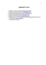 Kutatási anyagok 'Russian Gas', 11.                