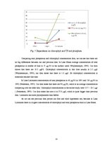 Kutatási anyagok 'Comparison of Total Phosphorus, Phosphate, Chlorophyll and Oxygen Concentrations', 14.                