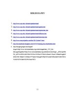 Kutatási anyagok 'The Negative Image of the President of Latvia', 11.                