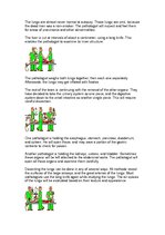 Összefoglalók, jegyzetek 'Autopsy', 6.                