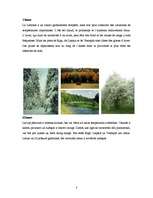 Kutatási anyagok 'Latvija / Lettonie', 3.                