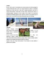 Kutatási anyagok 'Latvija / Lettonie', 4.                