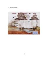 Kutatási anyagok 'Ecological Problems in Latvia and in the World', 23.                