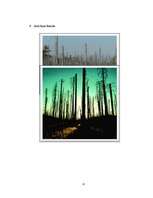 Kutatási anyagok 'Ecological Problems in Latvia and in the World', 24.                