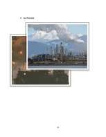 Kutatási anyagok 'Ecological Problems in Latvia and in the World', 25.                