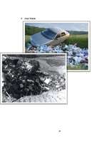 Kutatási anyagok 'Ecological Problems in Latvia and in the World', 26.                