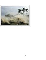 Kutatási anyagok 'Ecological Problems in Latvia and in the World', 30.                