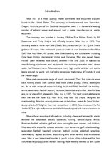 Kutatási anyagok 'Brand Analysis "Nike"', 3.                