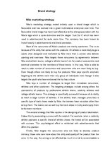 Kutatási anyagok 'Brand Analysis "Nike"', 5.                