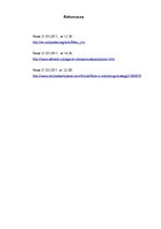 Kutatási anyagok 'Brand Analysis "Nike"', 10.                