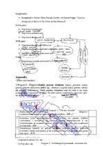 Gyakorlati jelentések 'Neues Museum: Spatial and Functional Analysis', 11.                