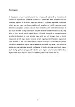 Kutatási anyagok 'Piackutatás elemzés (Lush kozmetikumok)', 13.                