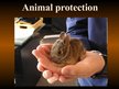 Prezentációk 'Animal Protection', 1.                
