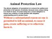 Prezentációk 'Animal Protection', 2.                
