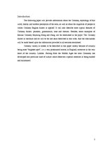 Kutatási anyagok 'Cockney', 2.                