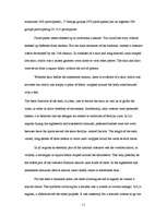 Kutatási anyagok 'Riga 800', 11.                