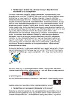 Kutatási anyagok 'Szabolcs-Szatmár-Bereg megye Szilvaút marketing lehetőségei', 5.                