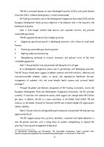 Kutatási anyagok 'EU Development', 21.                