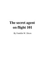 Összefoglalók, jegyzetek 'Franklin W.Dixon "The Secret Agent on Flight 101"', 1.                