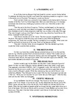 Összefoglalók, jegyzetek 'Franklin W.Dixon "The Secret Agent on Flight 101"', 3.                