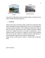 Kutatási anyagok 'Semantik der Fachwörter aus dem Bereich Brücken, Straßen und Wegebau', 18.                