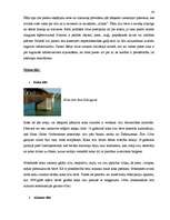 Kutatási anyagok 'Semantik der Fachwörter aus dem Bereich Brücken, Straßen und Wegebau', 24.                