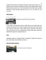 Kutatási anyagok 'Semantik der Fachwörter aus dem Bereich Brücken, Straßen und Wegebau', 29.                