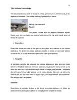 Kutatási anyagok 'Semantik der Fachwörter aus dem Bereich Brücken, Straßen und Wegebau', 32.                