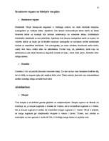 Kutatási anyagok 'Semantik der Fachwörter aus dem Bereich Brücken, Straßen und Wegebau', 35.                