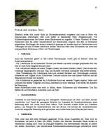 Kutatási anyagok 'Semantik der Fachwörter aus dem Bereich Brücken, Straßen und Wegebau', 65.                