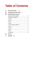 Összefoglalók, jegyzetek 'Export Marketing Plan - Beer Exports', 2.                