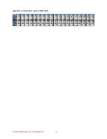 Összefoglalók, jegyzetek 'Export Marketing Plan - Beer Exports', 13.                