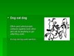 Prezentációk 'Idioms with Animals', 7.                