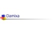 Kutatási anyagok 'Company "Damixa"', 35.                