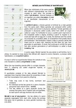 Összefoglalók, jegyzetek 'Mendelian Patterns of Inheritance', 1.                