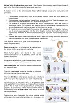 Összefoglalók, jegyzetek 'Mendelian Patterns of Inheritance', 3.                
