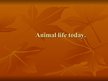 Prezentációk 'Animal Life Today', 1.                