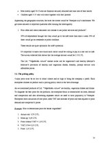 Üzleti tervek 'Business Plan "Veģetāriešu virtuve"', 14.                