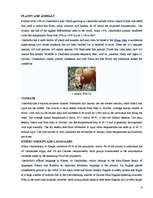 Kutatási anyagok 'Itinerary Kingdom of Cambodia', 4.                