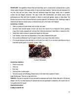 Kutatási anyagok 'Itinerary Kingdom of Cambodia', 10.                