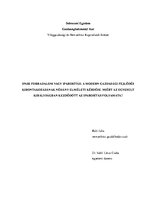 Esszék 'Ipari forradalom vagy iparosítás', 1.                