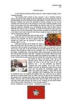 Esszék 'Christmas suprise', 1.                