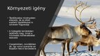 Prezentációk 'Rénszarvas', 4.                