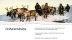 Prezentációk 'Rénszarvas', 5.                