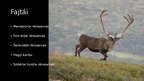 Prezentációk 'Rénszarvas', 8.                
