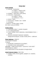 Összefoglalók, jegyzetek 'Magyar tételek', 3.                