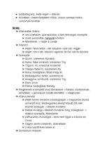 Összefoglalók, jegyzetek 'Magyar tételek', 4.                