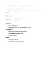 Összefoglalók, jegyzetek 'Kosztolányi Dezső', 3.                