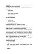 Összefoglalók, jegyzetek 'Text Analysis of "The Loaded Weapon"', 3.                