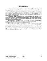 Kutatási anyagok 'Liqueur Brand "Coebergh" Penetrate a Foreign Market', 9.                